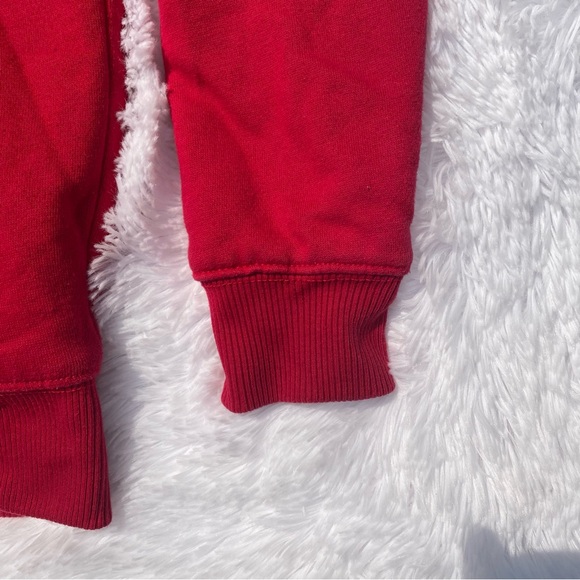 Place Sherpa Lined Hoodie - Picture 3 of 10